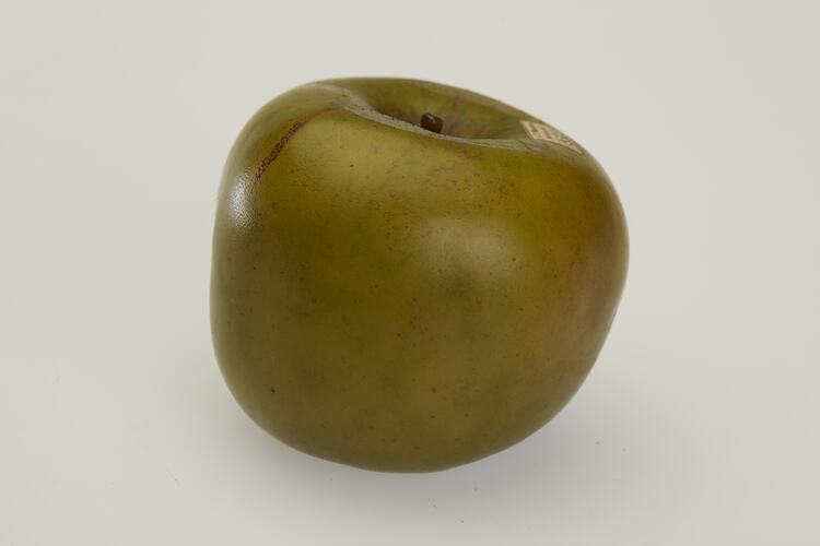 Wax model of green apple.