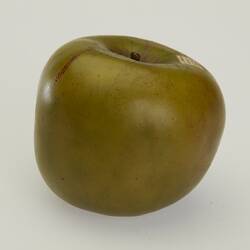 Wax model of green apple.