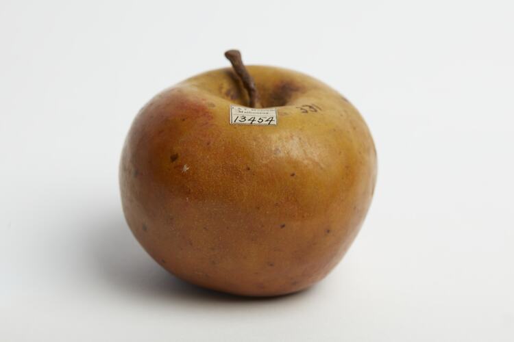 Wax model of yellow apple with slight red tinge.