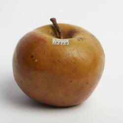 Wax model of yellow apple with slight red tinge.
