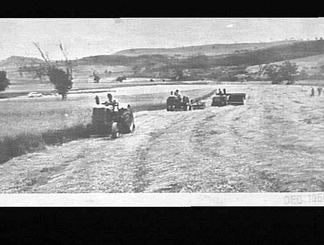 Photograph - H. V. McKay factory and/or equipment