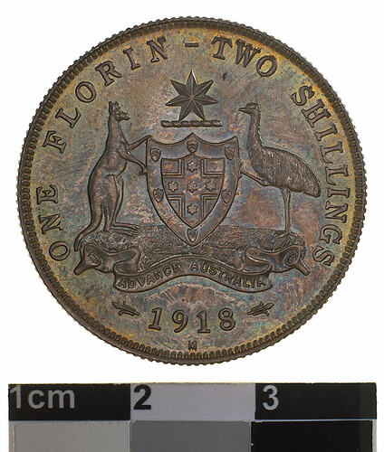 Specimen Coin - Florin (2 Shillings), Australia, 1918, photographed by Museums Victoria