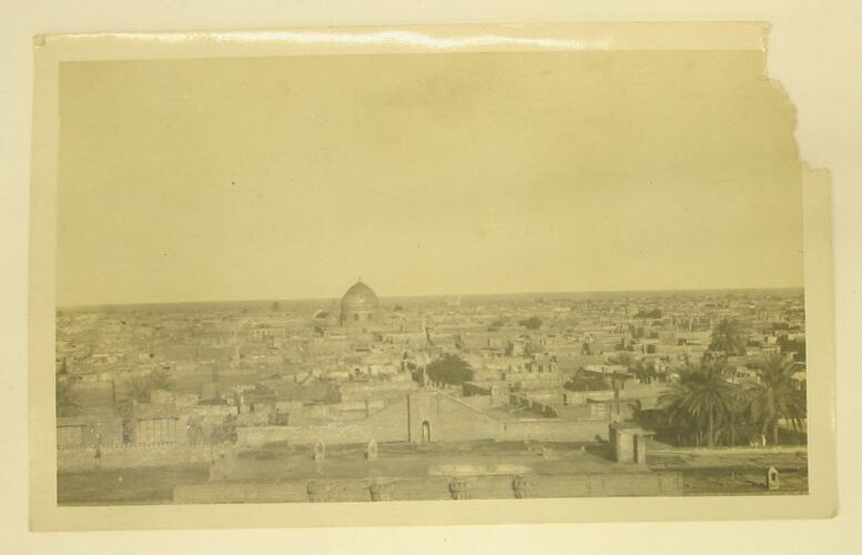 View over city, mosque dome in centre, palm trees in foreground.