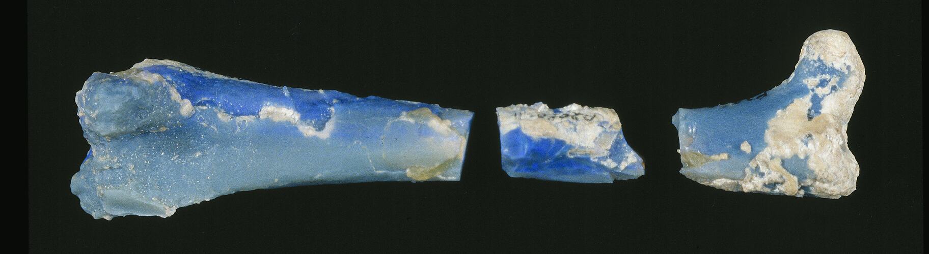 Iridescent blue bone specimen in three parts.