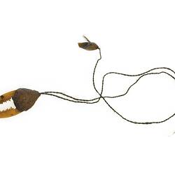 Ornament made of string and jaw bone of a small mammal.