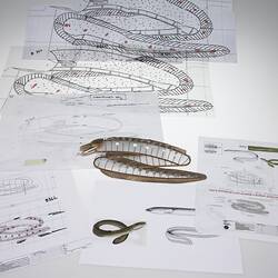 Drawings and model for the short finned eel used for the Commonwealth Games Opening Ceremony, 2006