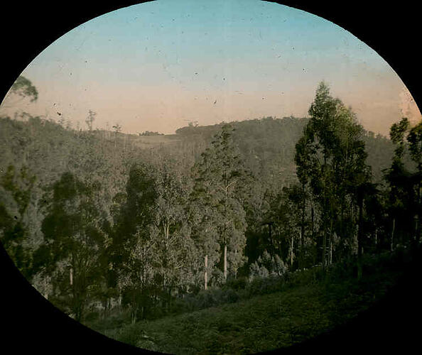 Lantern Slide - Hardys Creek, Kallista, Victoria, Jan 1937. [BA 1406]