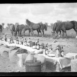 Table and chairs made from crates and sacks with horses grazing behind, numerous bottles on table.