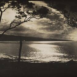 Photograph - Moonlight Over The Bay, Lorne, Victoria, circa 1920s
