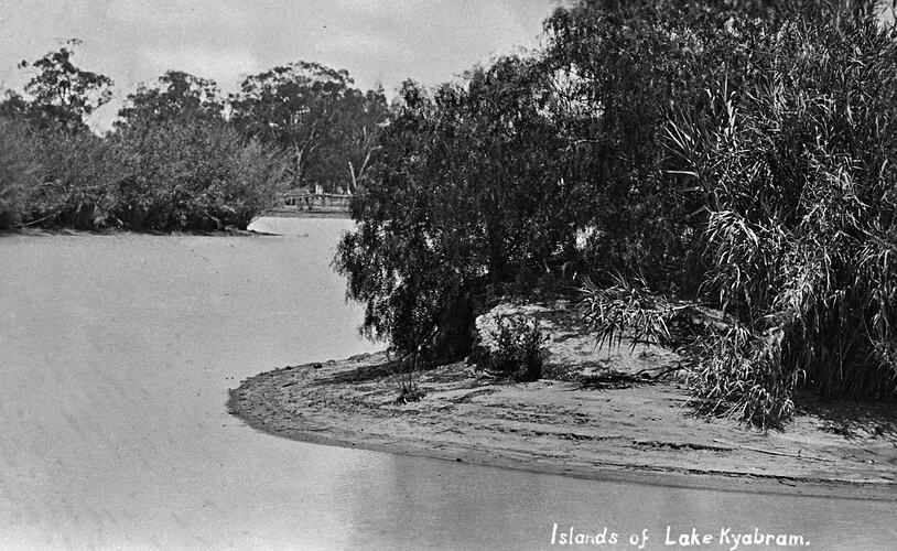 Islands with shrubs on a lake.