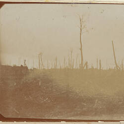 Landscape with dead trees, faded.