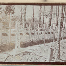 Graveyard with rows of crosses and trees in background.