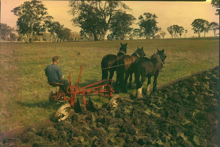 GL-60 Plough, Carrum Downs