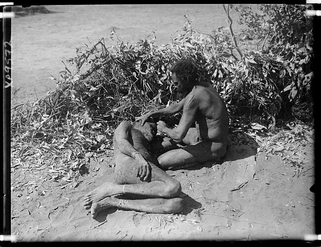 Young Warumungu man pulling out the facial hairs of an elder, Tennant Creek, 1901.