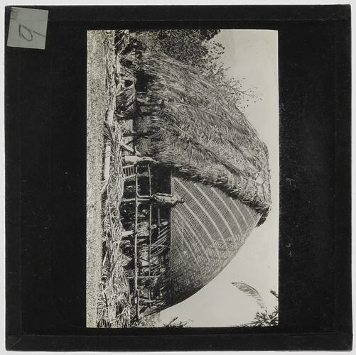 Lantern Slide - Construction of Grass Hut, Fiji, circa 1920s