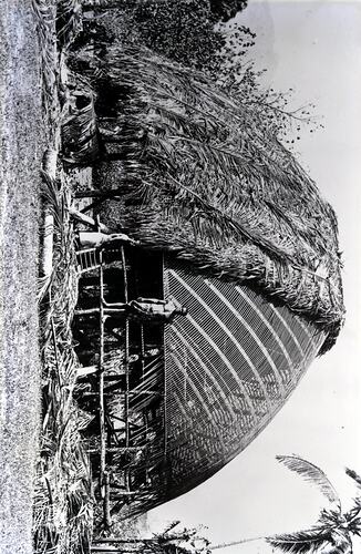 Negative - Construction of Grass Hut, Fiji, circa 1920s