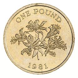 Coin - 1 Pound, Guernsey, Channel Islands, 1981