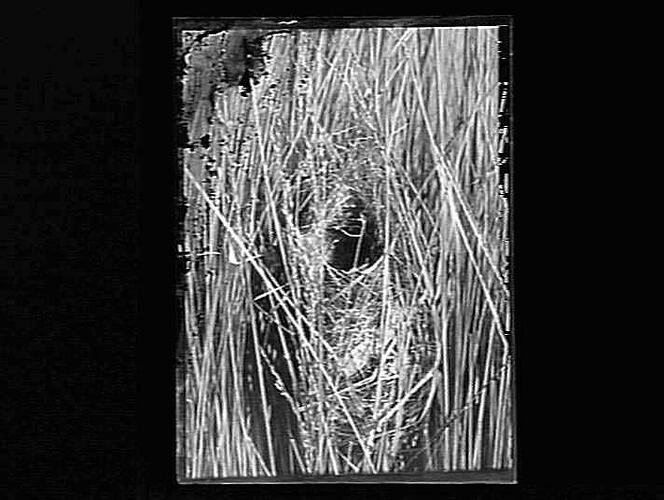 Negative - Glass