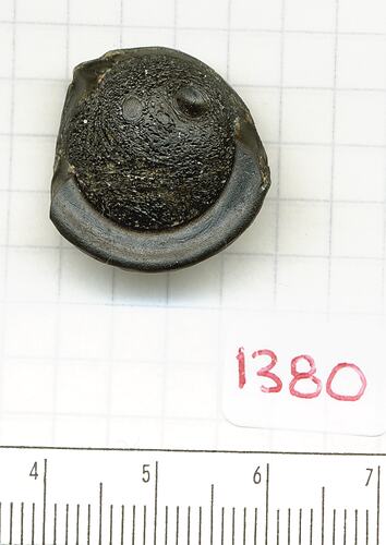 Button-shaped tektite with half flange.