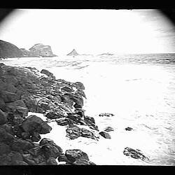Glass Negative - by A.J. Campbell, The Nobbies, Phillip Island, Victoria, 1902