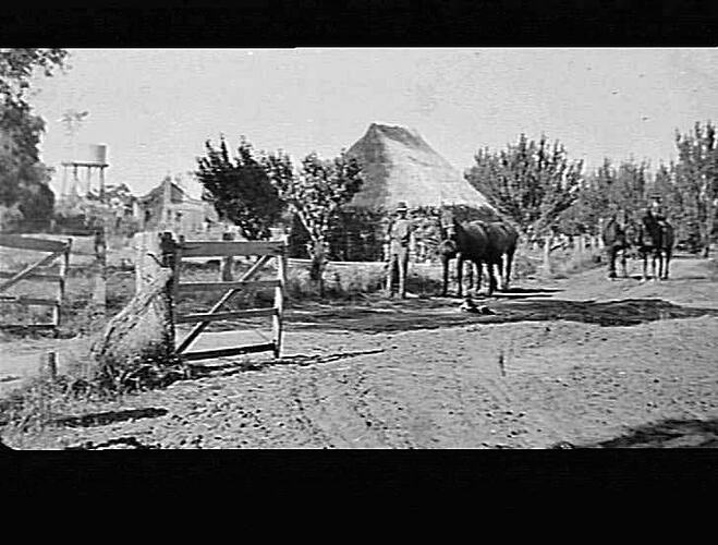 MERRIGUM ORCHARD NEAR OTHERY
