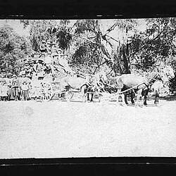Photograph - Horse Drawn Coach