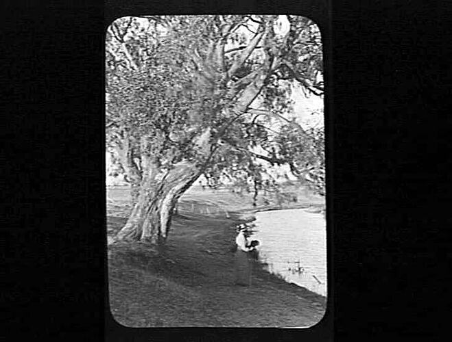 Lantern Slide