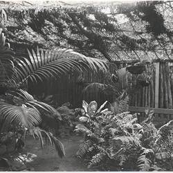 Photograph - Kodak Australasia Pty Ltd, Back Garden Fence, Kodak Branch, Townsville, QLD, 1930s