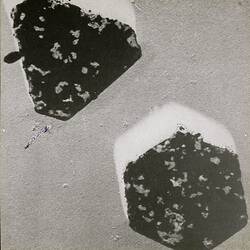 Film Grains Close Up, History of Photography & Emulsion Making, circa 1950s