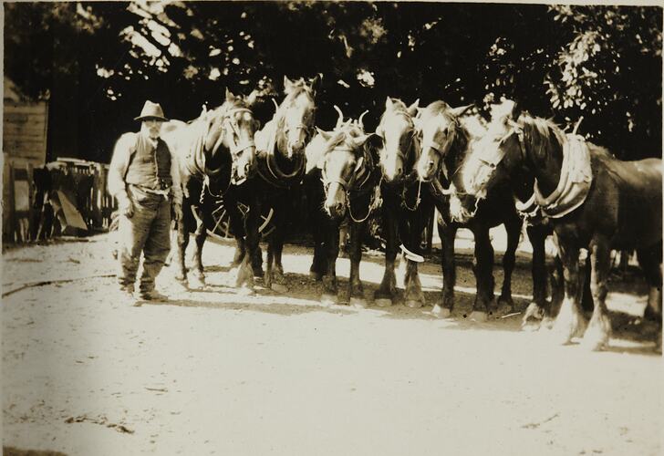 Man and team of six horses on road.
