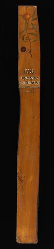Timber Sample - Quandong, Santalum acuminatum, Victoria, 1885 (Obverse)