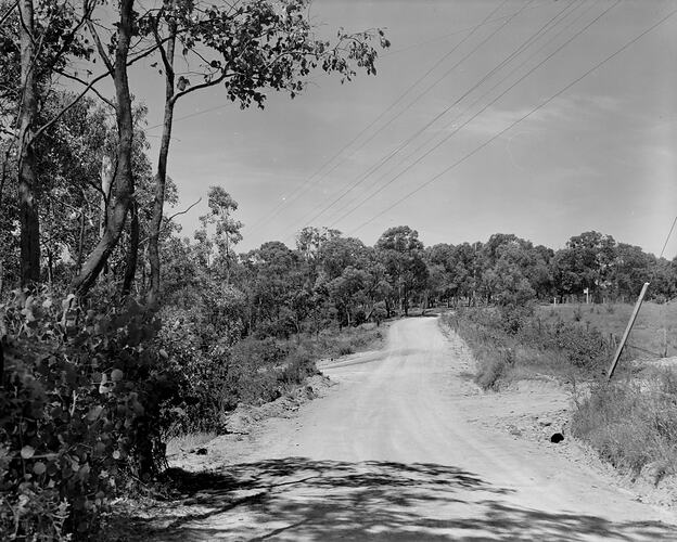 Roadscape, Greensborough, Victoria, Nov 1958
