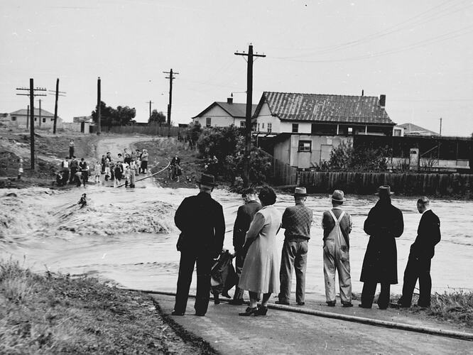 KOROROIT CREEK IN FLOOD: 3RD APRIL 1950