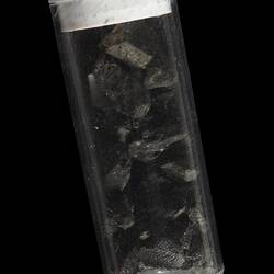 Murchison Meteorite fragments. [E 12391]