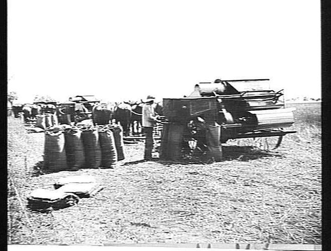 TAKEN N.S.W. FROM 1918