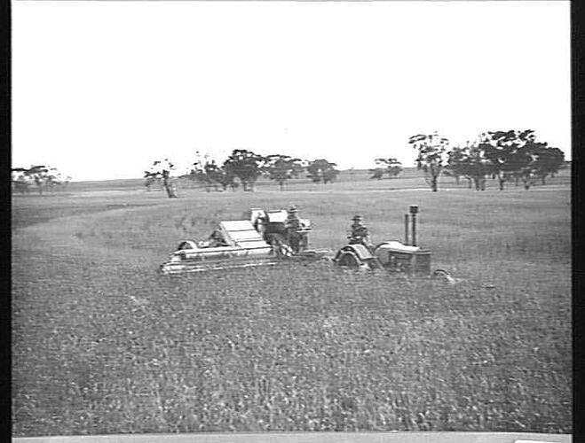 EXPERIMENTAL HARVESTER WORKING ON THE GREYSTONE ESTATE NEAR BACHUS MARSH JAN 1933