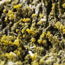 Pyromorphite. [M 53451]