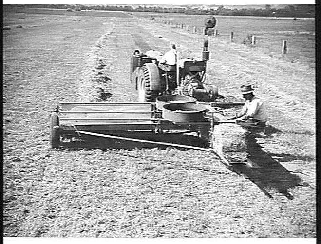 ENGINE-FUNCTIONED PICK-UP BALER BALING LUCERNE ON SOL GREEN'S ESTATE, BACCHUS MARSH: 17TH JAN 1943