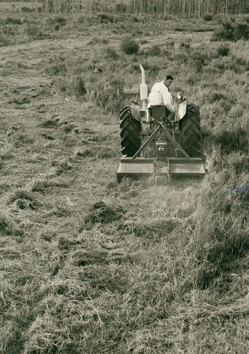 Man driving a tractor coupled to a rotary slasher in a field of cut and uncut long grass.