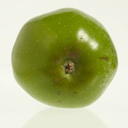 Wax model of an apple painted green. Has short stem. Base view.