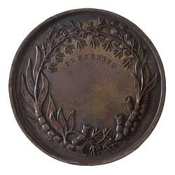 Medal - Horticultural Society of New South Wales Bronze Prize, c. 1860 AD