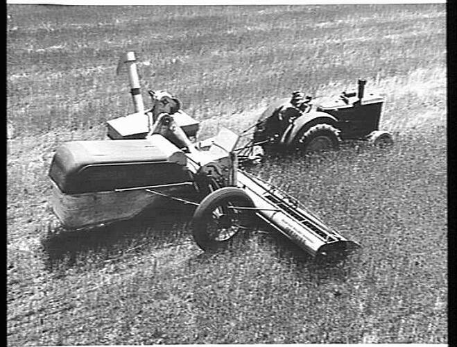 SUNSHINE NO.4 POWER DRIVEN HEADER WITH BULK HANDLING OUTFIT AND 55K TRACTOR,HARVESTING WHEAT ON THE ESTATE OF C.L.SUDHOLZ NATIMUK VICTORIA