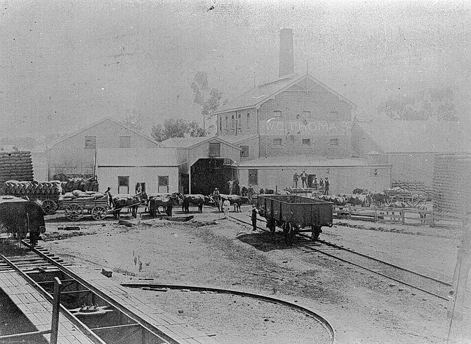 [Grain stacks and rail trucks, Warracknabeal rail yards, circa 1895.]