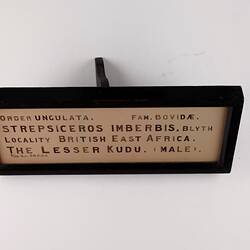 Cream rectangular label with black text and black painted frame and stand.