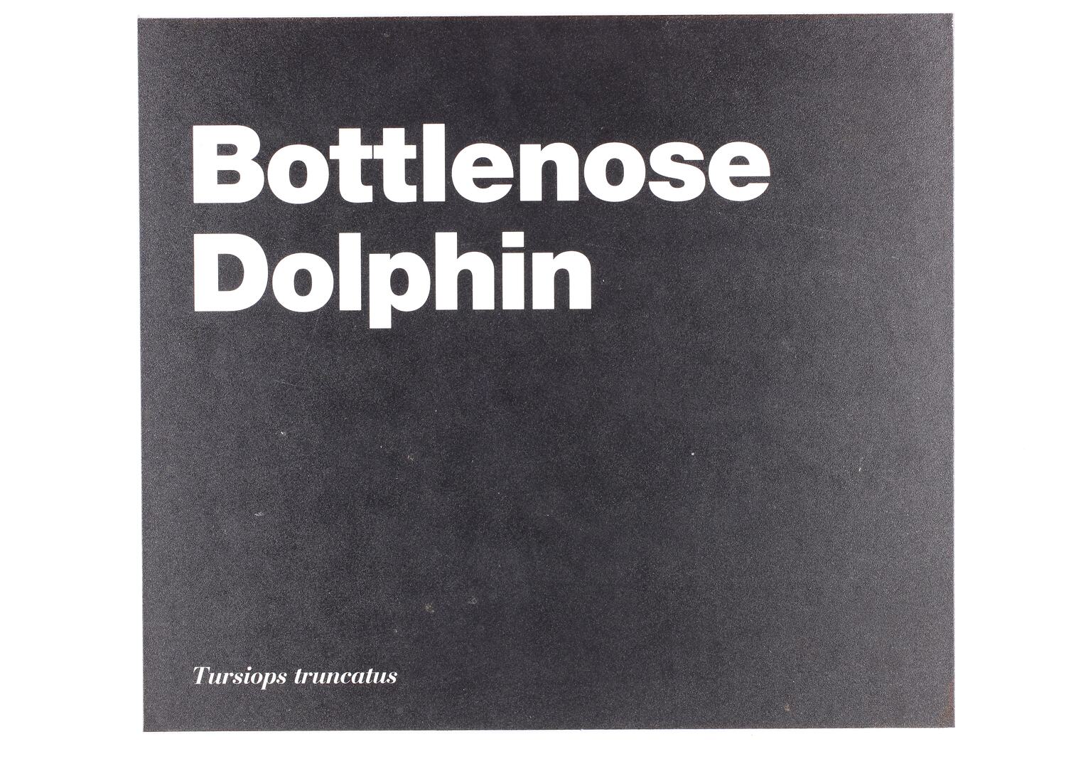 Exhibition Label - Bottlenose Dolphin, Museum of Victoria, circa 1990