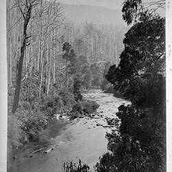 Photograph - 'River Reach', Yarra River, by A.J. Campbell, Upper Yarra, Victoria, 1895