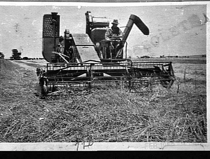 Photograph Hv Mckay Massey Harris Farm Equipment Manufacture And Field Trials Circa 1930s 1940s