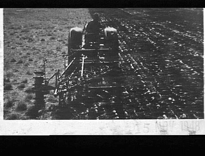 Photograph - H. V. McKay factory and/or equipment