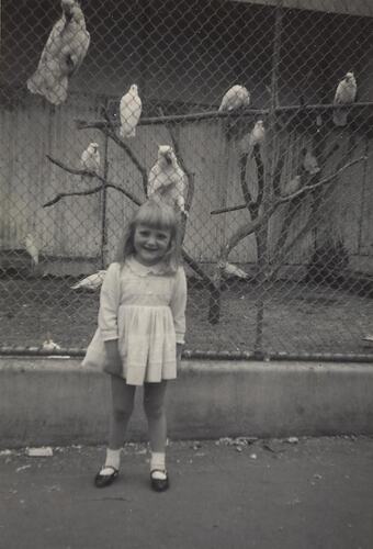 Digital Photograph - Girl Standing Outside Cockatoo Enclosure, Melbourne Zoo, Parkville, 1964-1965
