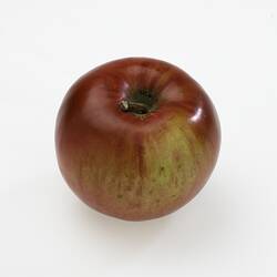 Wax model - Stewarts apple